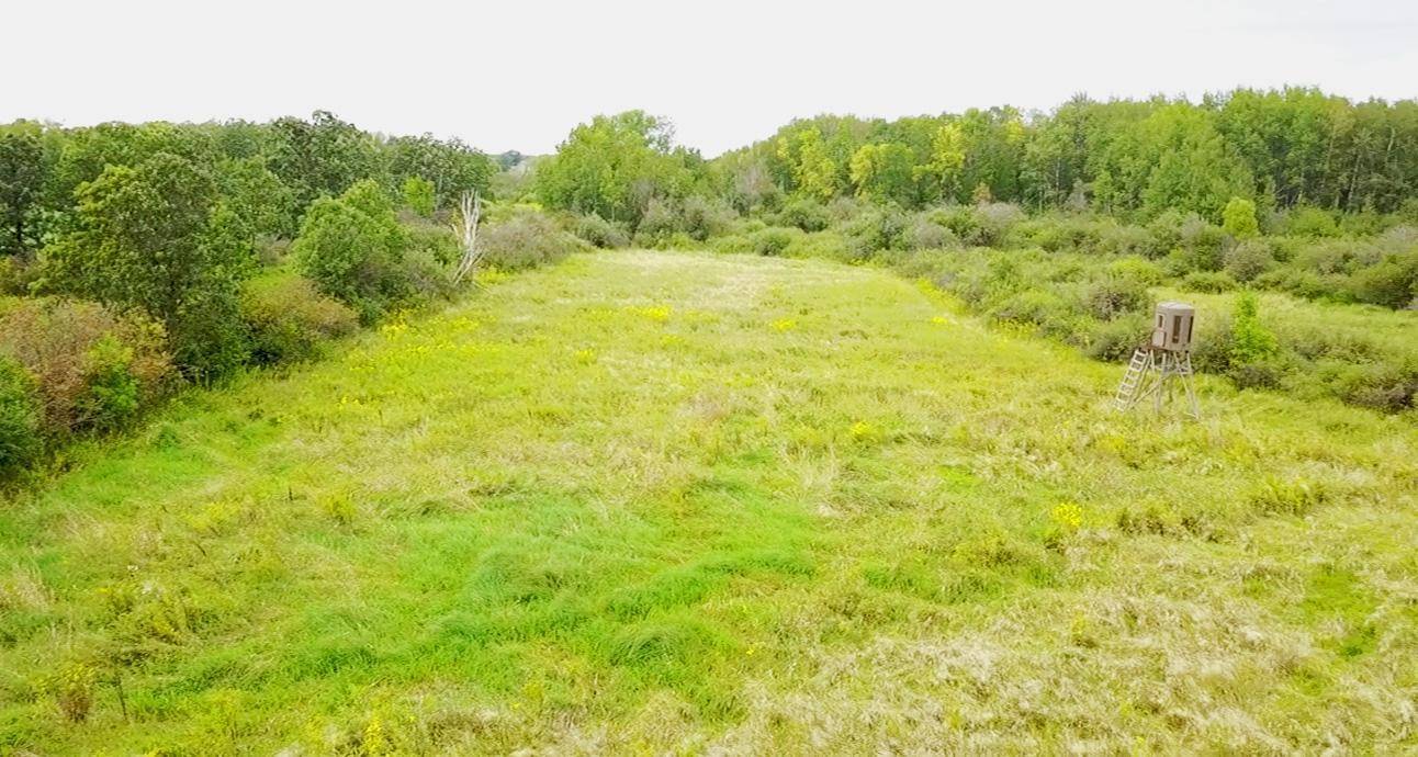 XXX Red RD,  Lewis Twp,  MN 56342