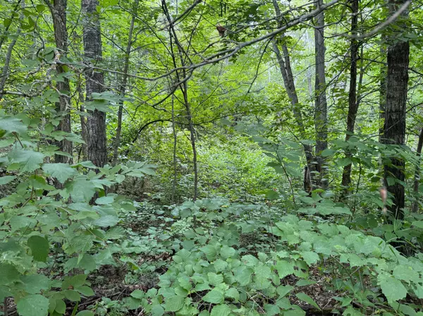 Breezy Point, MN 56472,TBD Flower Trail