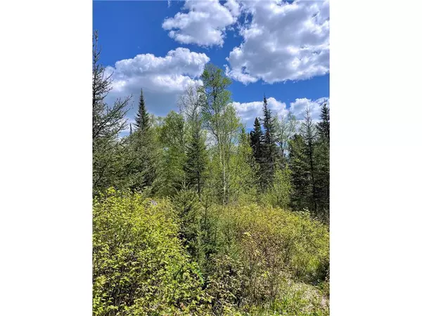 Finland, MN 55603,xxxx Highway 1