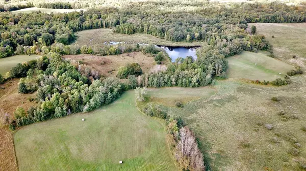 Dudley Twp, MN 56652,TBD 450th ST