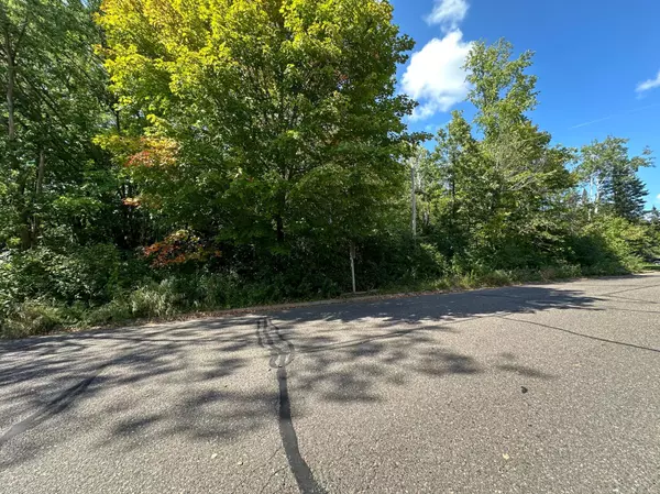 Milltown, WI 54858,XXX Lot 2 2nd Ave Nw.