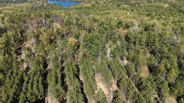 Akeley, MN 56433,XXX Frostbite RD