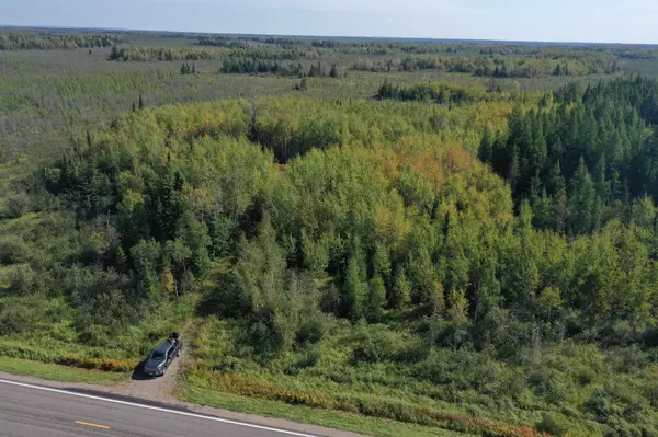 Hibbing, MN 55746,TBD HWY 5