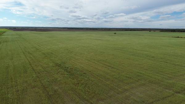 TBD 230 ST SW, Gully Twp, MN 56646