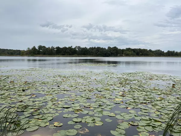 Farwell, MN 56327,3084 Beauty Point RD SW