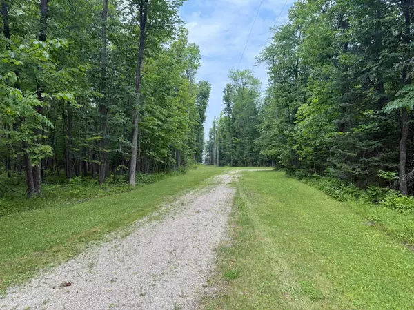 TBD Cedar Point Rd, Marcell, MN 56657
