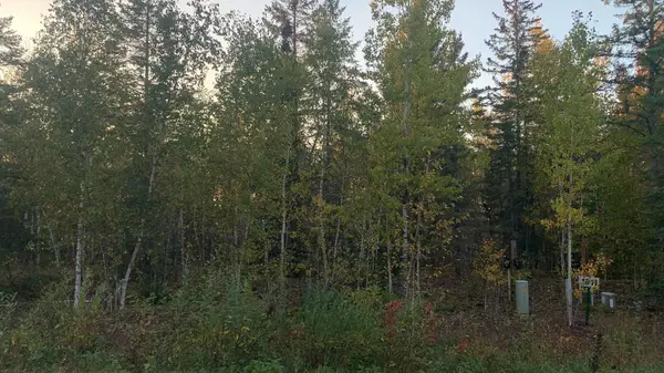 Coleraine, MN 55722,TBD Lot 11 & 1/2 10 Pine Tree LN