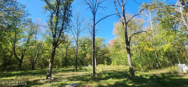 Milaca, MN 56353,20801 60th AVE