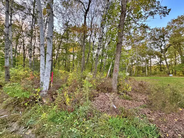 Garrison, MN 56450,XXX LOT B ASH CT