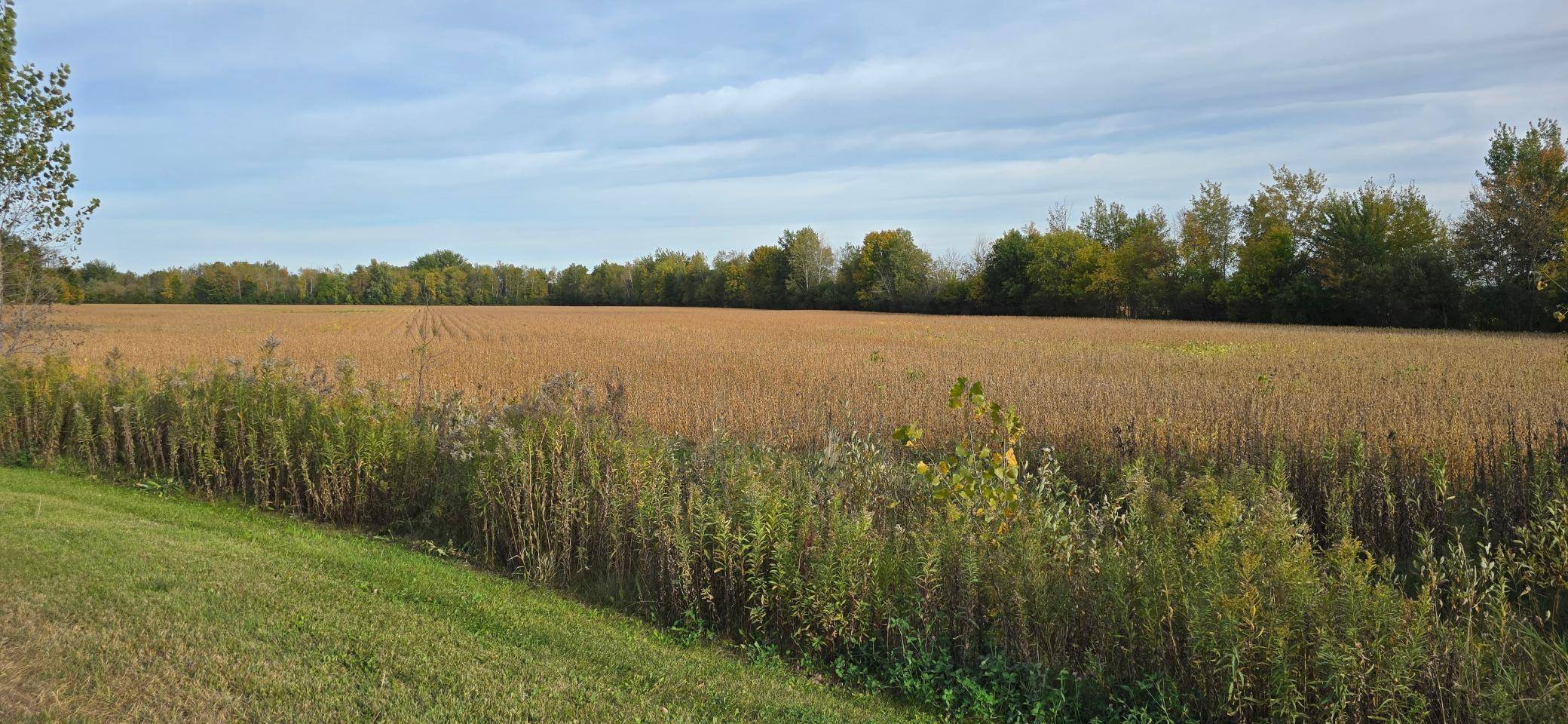 Ogilvie, MN 56358,xxx E Highway 23