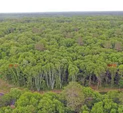 Pequot Lakes, MN 56472,XX9 TBD Smiley Way