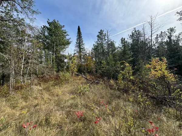 Shevlin, MN 56676,TBD 243rd AVE