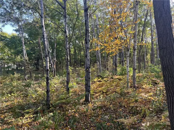 Lot 1 Pet RD, Beaver Brook Twp, WI 54801