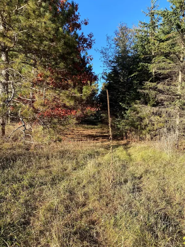 Ramsey, MN 55303,17201 Saint Francis BLVD