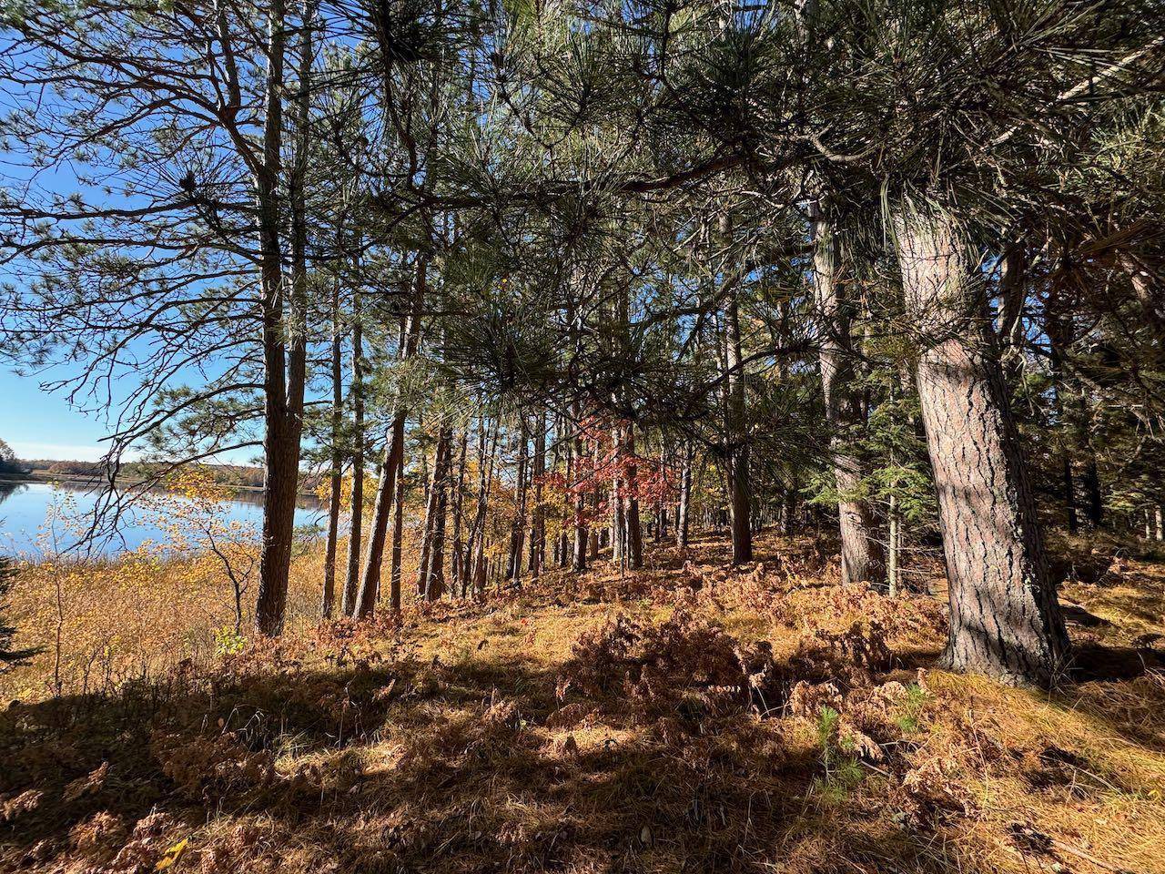Northome, MN 56661,56398 Remington WAY