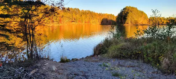 Bigfork, MN 56628,TBD Loon Call Lane