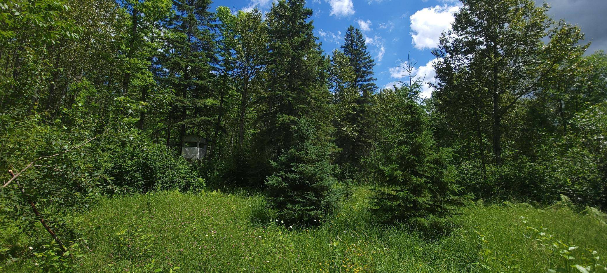 TBD State Hwy 1, Effie, MN 56639
