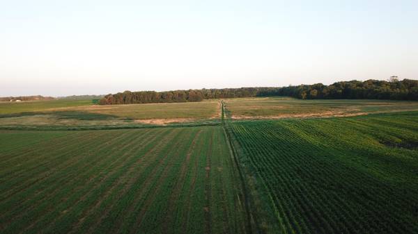 XXX CR4 / Major Ave, Hassan Valley Twp, MN 55350