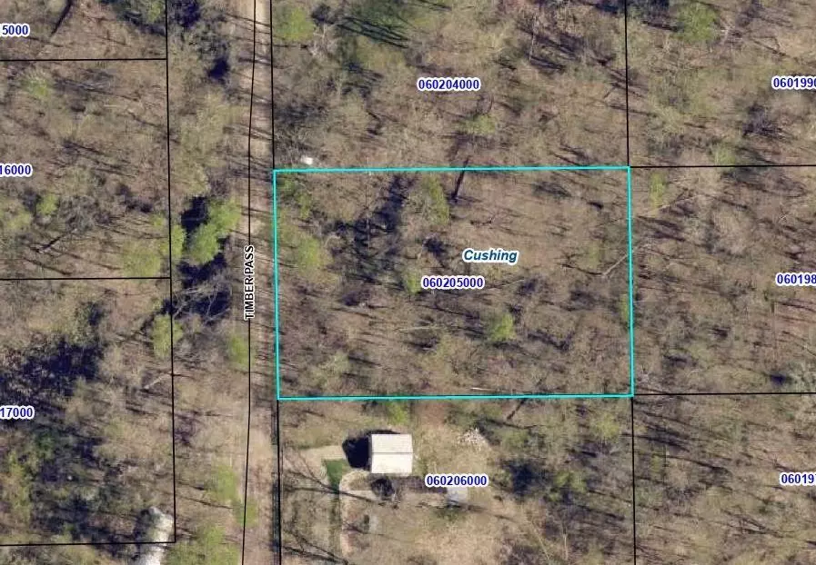 Randall, MN 56475,TBD Timber PASS