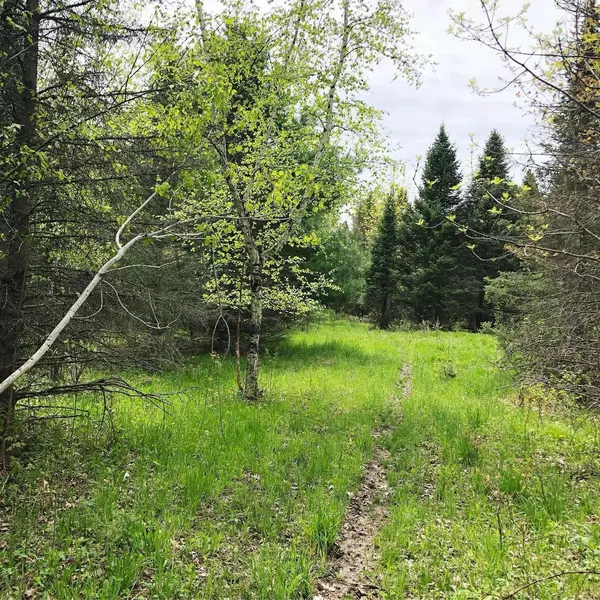 Emerald, WI 54013,1348 TBD County Road D - Lot 5