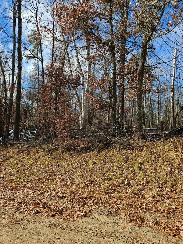 Breezy Point, MN 56472,Lot 1 Raccoon LN