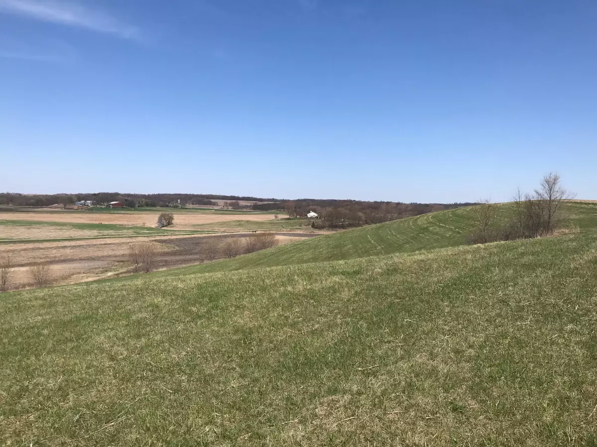 Webster Twp, MN 55057,XXXX Dalton Ave