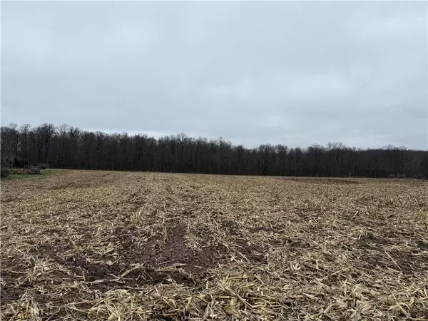 Long Lake Twp, WI 54870,Lot 1 County Hwy D