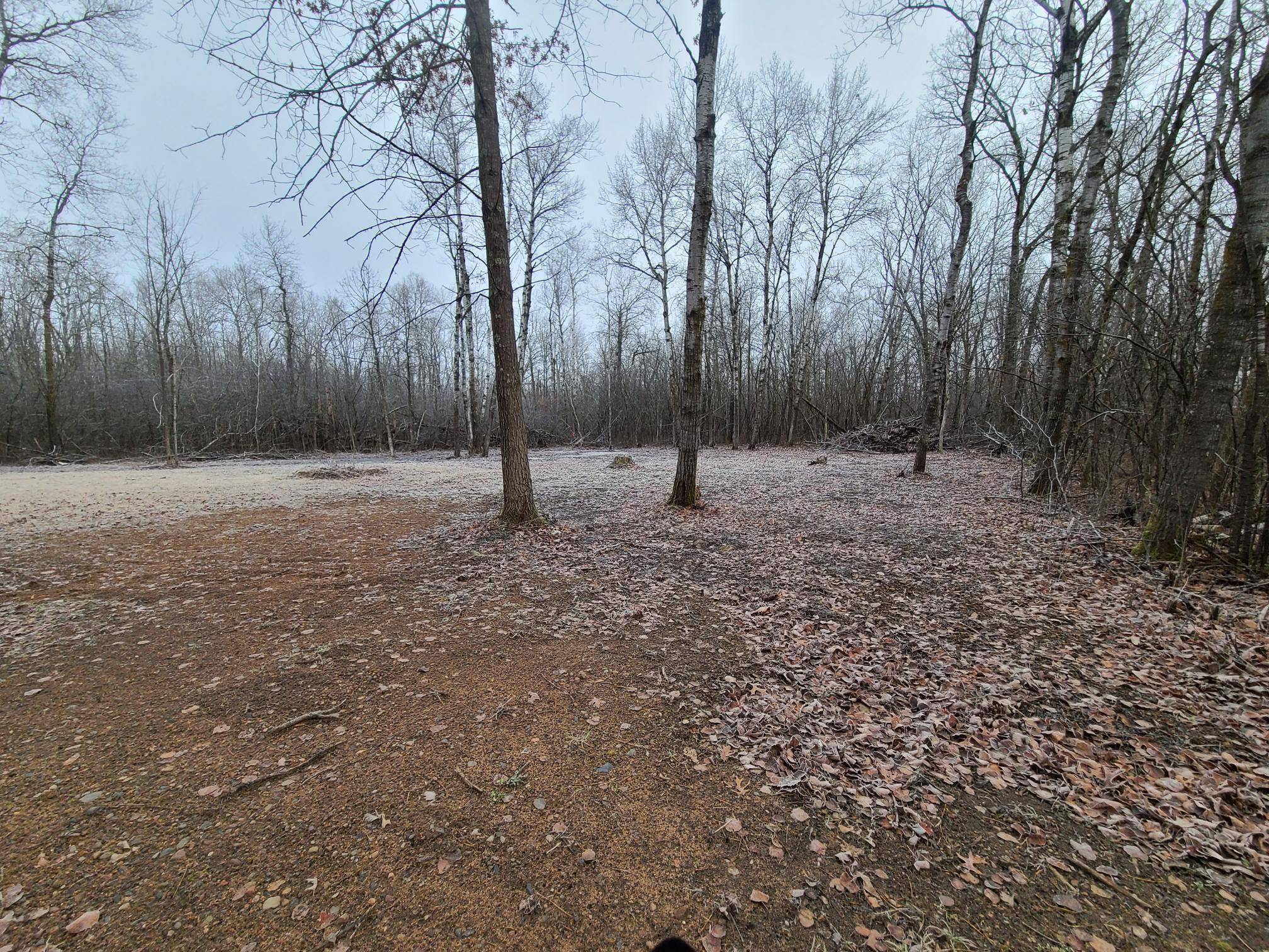 Pine City, MN 55063,XXX Canyon WAY