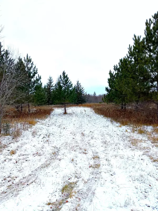 Lot 3 - TBD 330th ST, Warroad, MN 56763