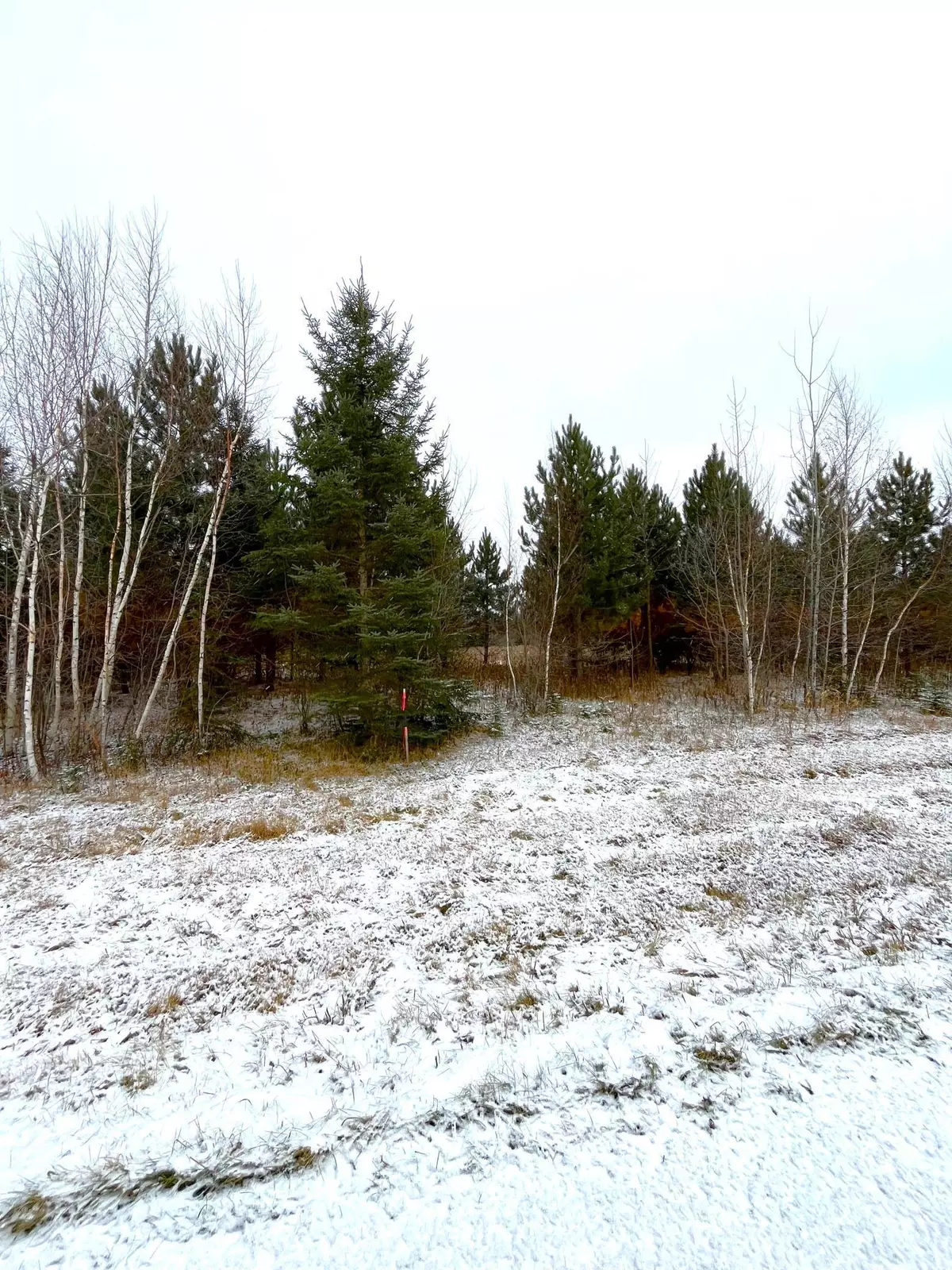 Warroad, MN 56763,Lot 4 - TBD 330th ST