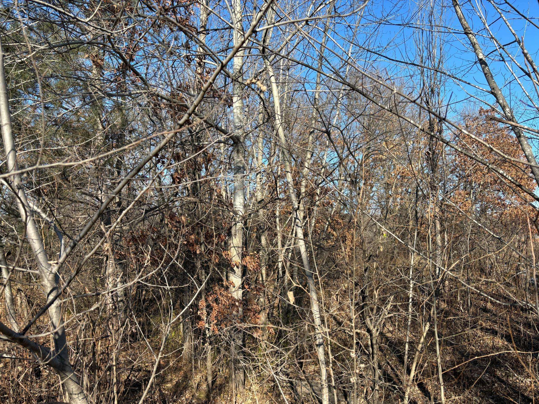 Sartell, MN 56377,201 High DR