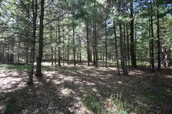 Webster, WI 54893,Lot #2 Olsen RD