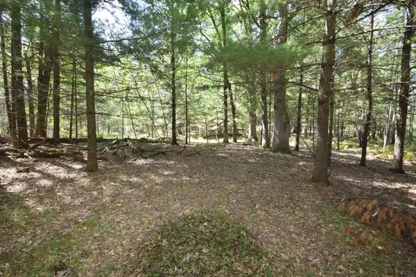 Lot #2 Olsen RD, Webster, WI 54893