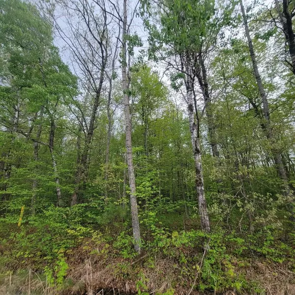 Spooner, WI 54801,Lot 10 County Road A