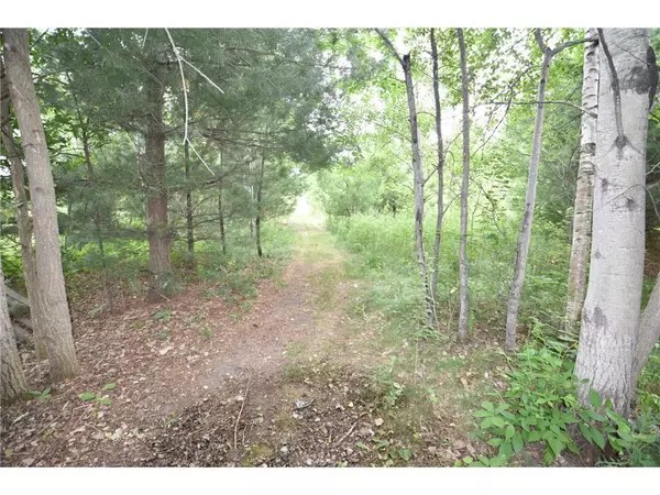 Lino Lakes, MN 55014,580 WOODDUCK TRAIL