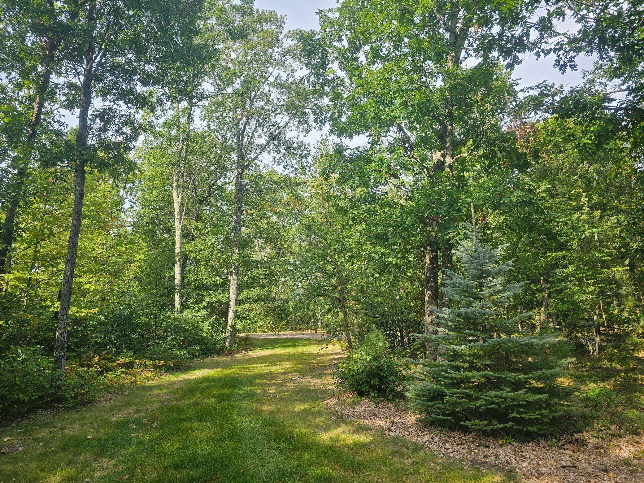 Danbury, WI 54830,4522 Wilderness WAY