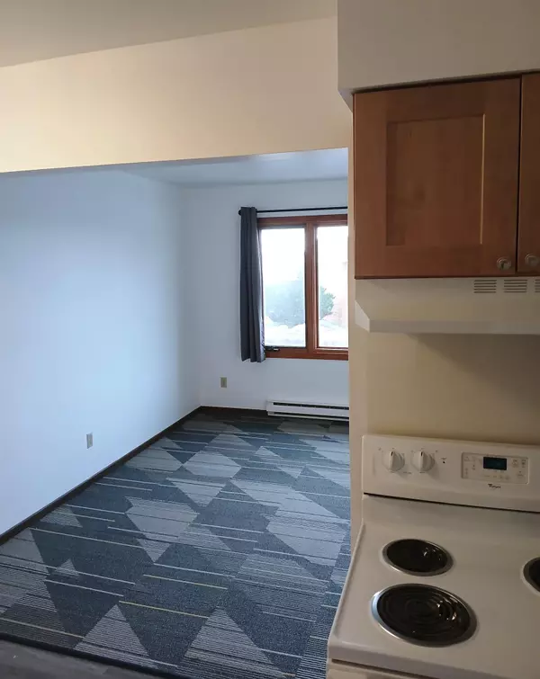 Grand Marais, MN 55604,315 1st AVE E