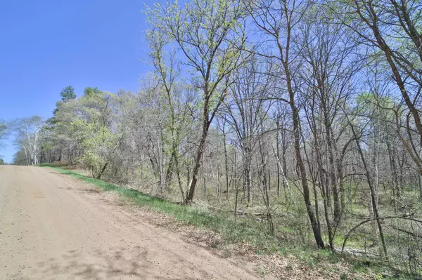 Breezy Point, MN 56472,TBD Cedar St
