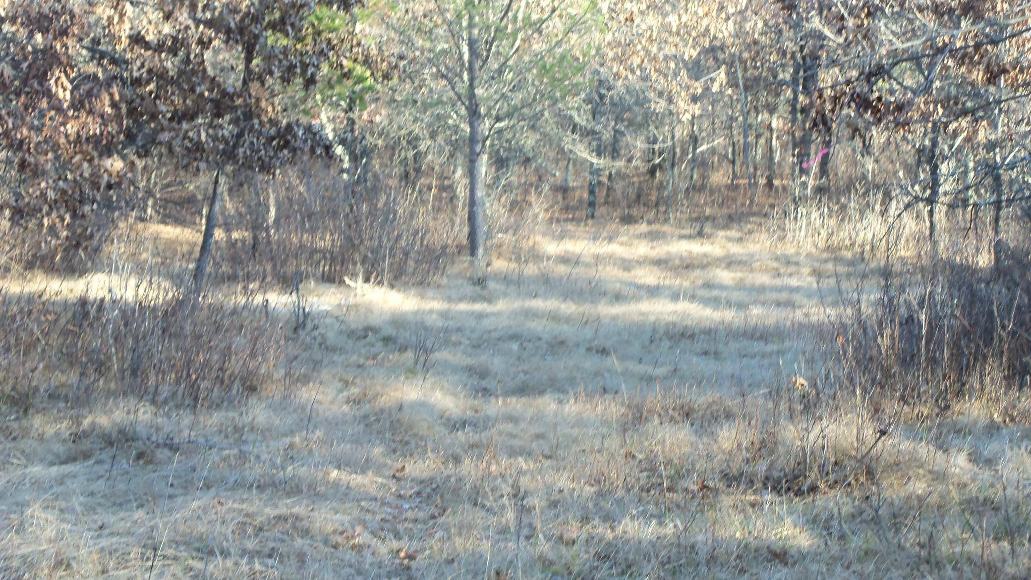 Sterling Twp, WI 54024,Lot 3 275th St