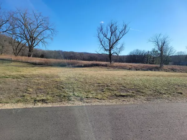 Rushford Village, MN 55971,8 Lots - 1 Price Briella AVE