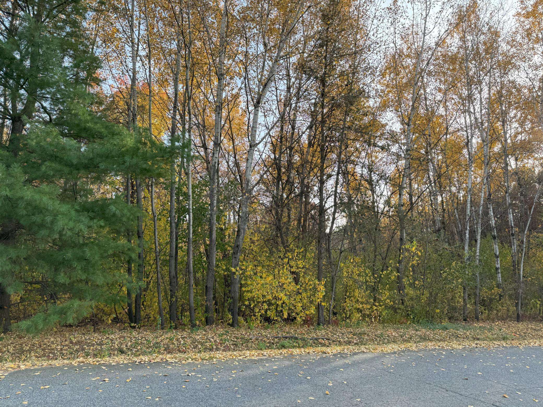 Washington Twp, WI 54701,Lot 22 Short Ridge Estates