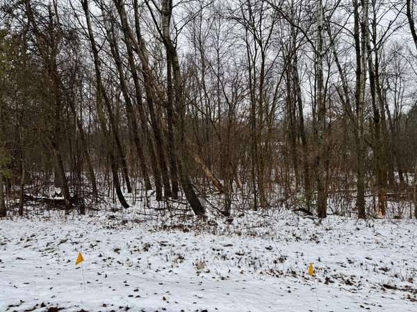 Lot 22 Short Ridge Estates, Washington Twp, WI 54701