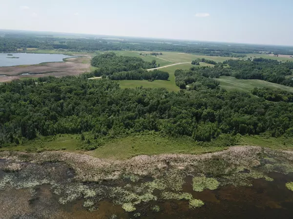 Pine Lake Twp, MN 56644,TBD 460th Lot 4 ST