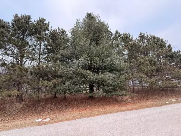 Homer Twp, MN 55987,TBD KC Dr