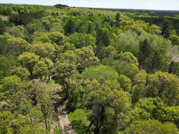 Nevis, MN 56467,TBD County 2