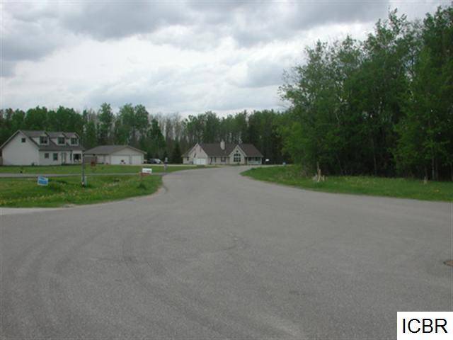 Deer River, MN 56636,Lt 3 Blk 2 TAMARACK LN