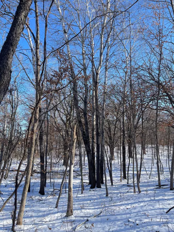 Ramsey, MN 55303,B1 L2 181st Ave NW