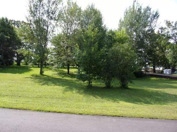 Mora, MN 55051,Lot 10 Ann River DR