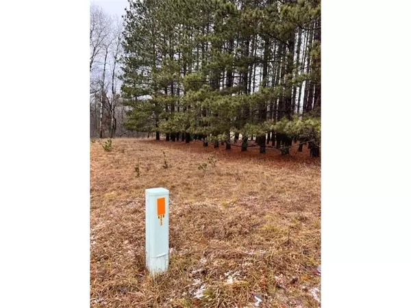 Baxter, MN 56425,TBD Mountain Ash RD