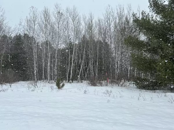 Iron River, WI 54847,Lot 1 North Shore DR